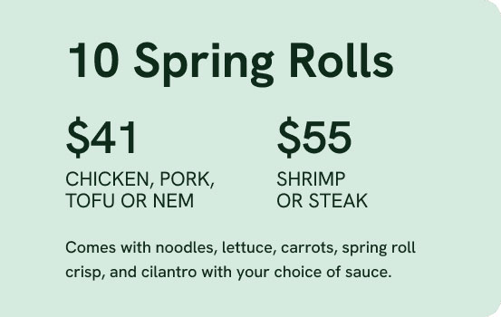 Catering_SpringRolls-t